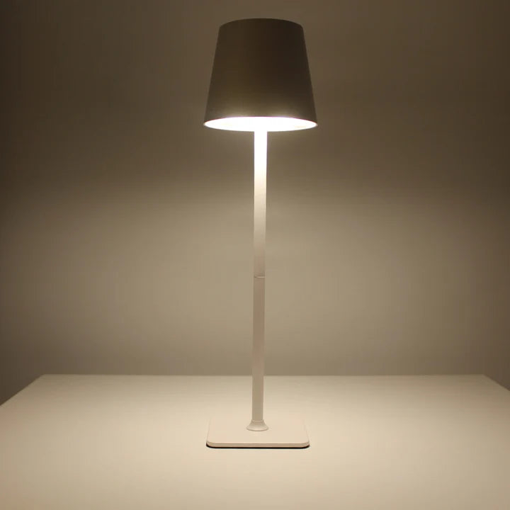 Metal LED Table Lamp